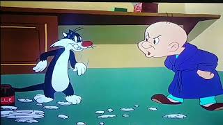 Sylvester Breaks The Dishes