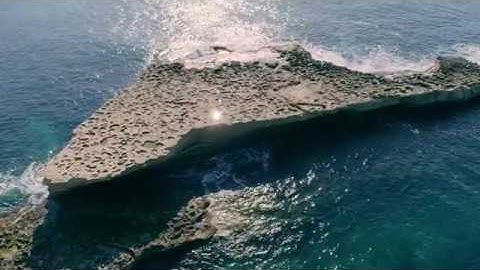 iFishIENCi Biology Online Steering System to support sustainable aquaculture