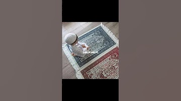 ولولا يأتون الصلاة إلا وهم كسالى.. 🎧🥀  #تلاوة_خاشعة #علي_جابر