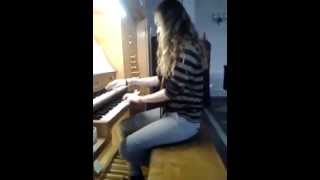 Mike Snow Cover Animal. Organ. Instrumental. Improvisation. Кавер. Key. Орган.