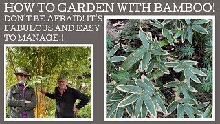 How to garden with Bamboo: firstly, don't be afraid! Which Bamboo to choose and where to plant it.