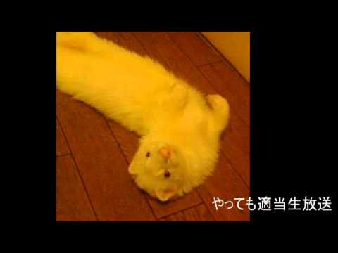 やってもの適当生放送アーカイブ動画　その２７