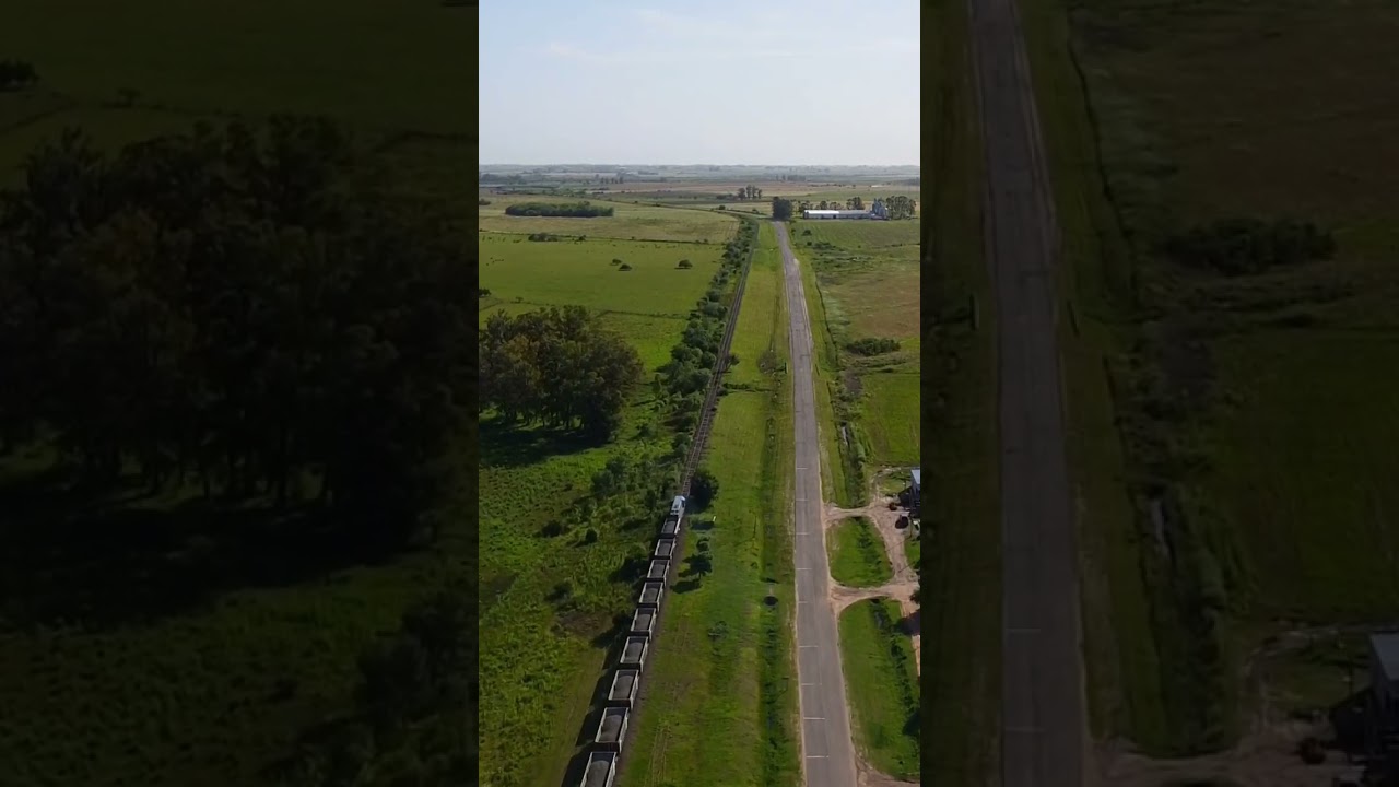 Se va el tren carguero de General Campos a San Salvador, Entre Rios🚂🚃 #trenes #entrerios #argentina
