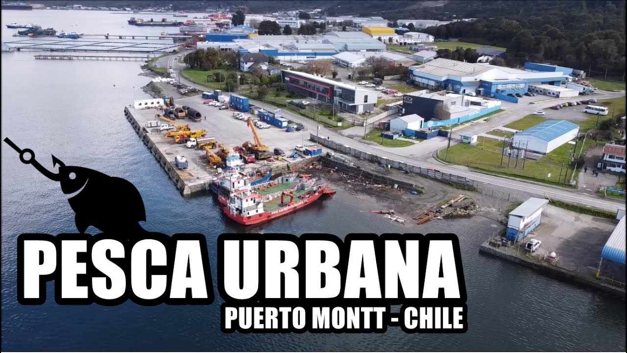 🎣Pesca UL de orilla en Puerto Montt | Pejerreyes | Nauto Aventuras.