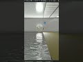 Tienes alguna imagen de referencia #shorts #shortvideos #short #shortsvideo #tutorial #omniverse