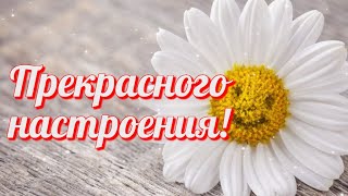 Прекрасного Настроения  Хорошего Дня  Добрые Пожелания