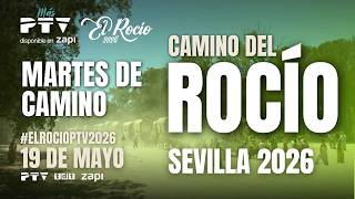 🔴 EN DIRECTO | Martes de Camino del Rocío 2026 con SEVILLA | 19 mayo 2026