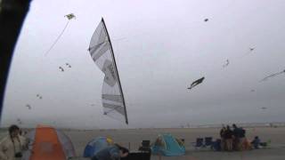 Kite Flirts With Woman