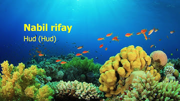 Nabil Rifay   Surah Hud Hud نبيل رفاعي   سورة  هود