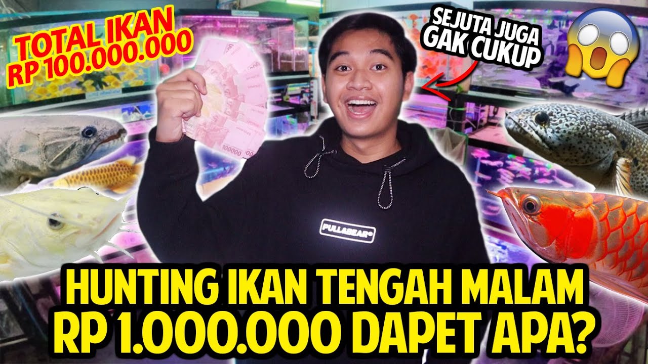 HUNTING IKAN MEWAH RP 1.000.000 DAPET APA?! DI TOKO INI IKANNYA SULTAN SEMUA! RATUSAN JUTA TOTALNYA!