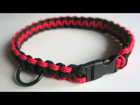 Come fare un collare per cani in paracord con fibbia a scatto. TUTORIAL