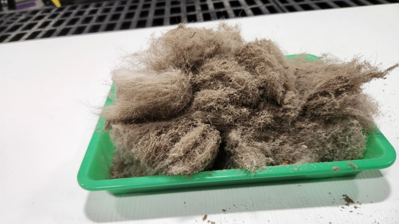 The Rug Wash Episode 1 Shag Rug Cleaning in Springfield, VA YouTube