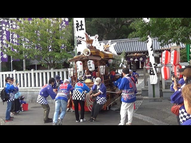 荘園子供神輿・太鼓山車の町内巡行・宮入巡行 五社神社秋祭り 大阪府
