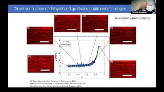 Unraveling the Mechanics of Biological Soft Tissue Using Advanced Bioimaging Techniques screenshot 2