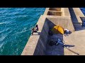 【釣り三昧】離島の1級堤防で24時間。極上の釣りキャンプ。