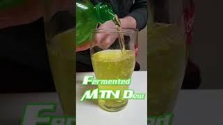 Can I Make MTN Dew Wine?