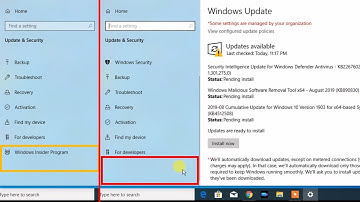How to Remove / hide Windows Insider Program Tab in Windows 10 Settings