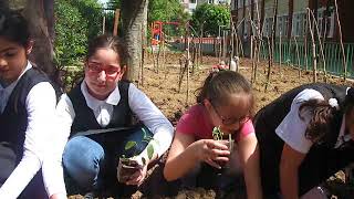 1 M2 Ektim Neler Öğrendim