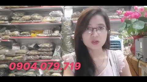 RỄ THIÊN NIÊN KIỆN NGÂM RƯỢU CÓ TÁC DỤNG GÌ?