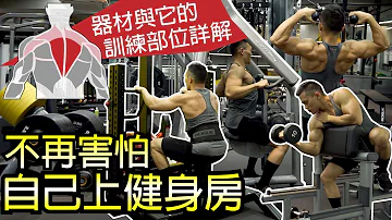 Beginners Guide How To Use Gym Equipment Covering Full Body Muscle Guy TW 2019ep51 