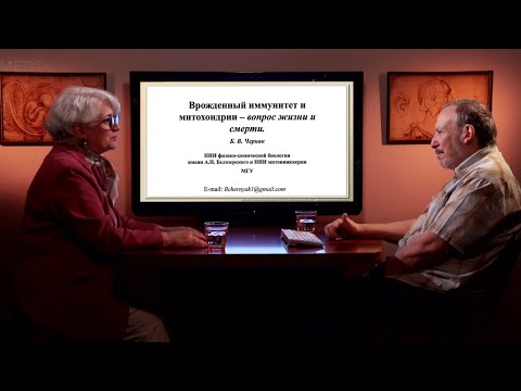 «Врожденный иммунитет и митохондрии – вопрос жизни и смерти». Гость: Черняк Б.В.