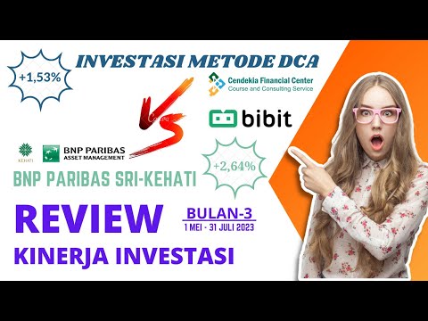 Review Kinerja Investasi DCA Di BNP Paribas SRI KEHATI: Bulan Ke-3 [Juli 2023]