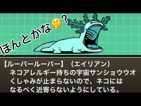 ほんとかな？🤔　にゃんこ大戦争