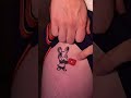 FOLAGOR, SPINDA y su calvita brillante ✨