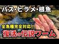 【全魚種対応】復活を遂げた伝説のワームで春の爆釣!時代を越えてもヤバさは健在でした