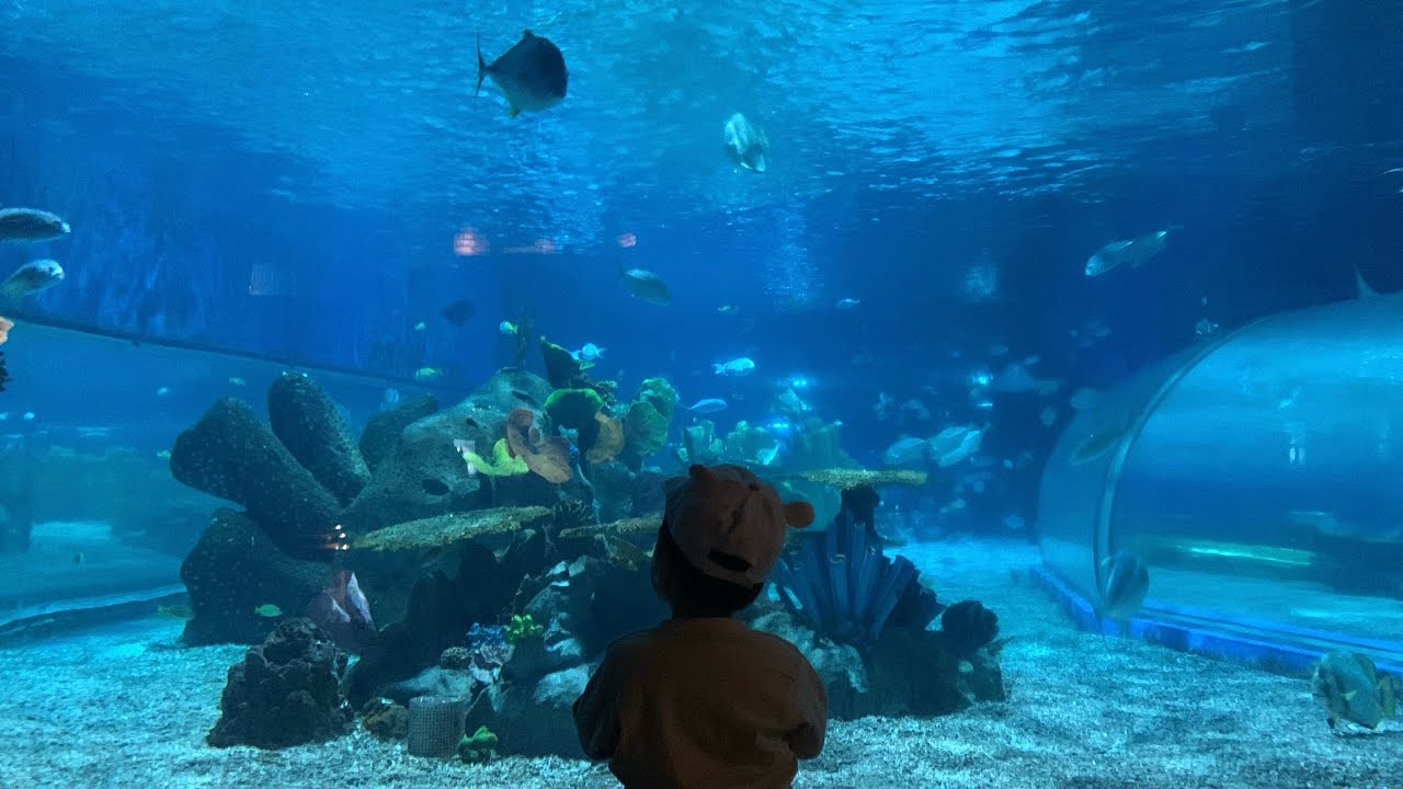 Jion’s 2nd Birthday Gala