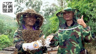 外国人拍摄的中国云南养蜂人及生态蜂蜜 
