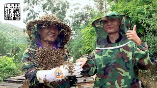 外国人拍摄的中国云南养蜂人及生态蜂蜜