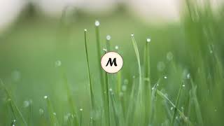 Muzi - Musing