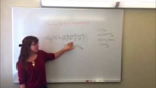 PHYS 310 Project