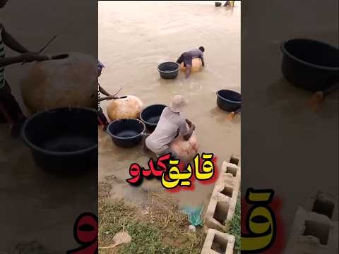 قایق های کدویی نیجریه