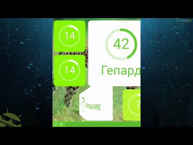 Игра 94% на картинке Гепард Игра 94% на картинке Гепард