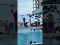 Mario and Luigi get wild