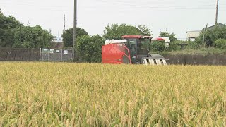 「甘くておいしい」県内でいち早く早場米の出荷始まる　愛知・弥富市 愛知県で早くも新米 あいち米 が出荷 早場米の産地 愛知 弥富市で