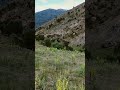 çukurçimen köyünden dereden manzaralar