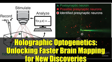 Holographic Optogenetics: Unlocking Faster Brain Mapping for New Discoveries
