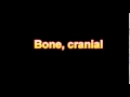 What Is The Definition Of Bone, cranial Medical Dictionary Free Online