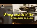 Nhc lossless phng tr  hng tnh c  cd2  phng tr quang nguyn