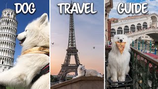 HOW TO TRAVEL WITH YOUR DOG | Step By Step Guide