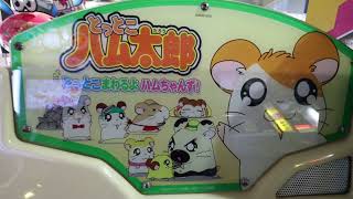 Medal Game] Hamtaro: Ham-chanz Spinning Around! (Taito) - YouTube