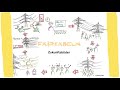 Zukunftsbilder / Fairkabeln
