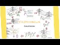 Zukunftsbilder / Fairkabeln