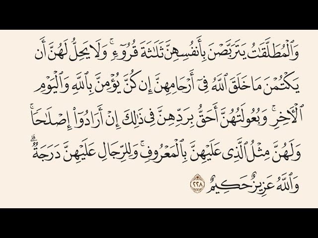 ⁣آيات الأحكام|شرح الآية:{وَلِلرِّجَالِ عَلَيْهِنَّ دَرَجَةٌ ۗ }-السيد صباح شبر