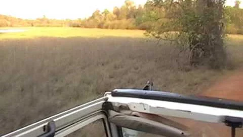 Spotted deer near Tadoba lake2 Tadoba Andhari Tiger Reserve Safari Visitor's Eye Arkadeb Mukherjee