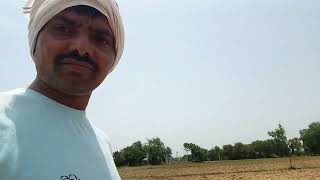 May seeds sowing 2025