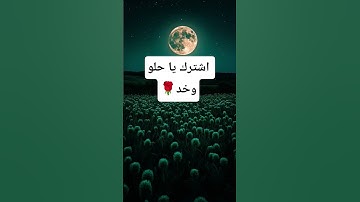 سورة لقمان بصوت ياسر الدوسري🌹😊 #قران #ياسر_الدوسري